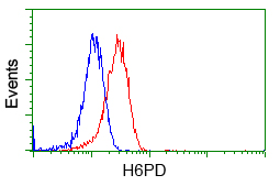 m05856 anti h6pd mouse monoclonal antibody clone id oti2a7 flow cytometry testing 9