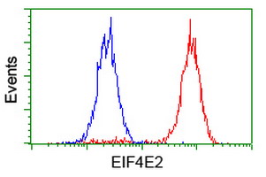 m05869 1 anti eif4el3 eif4e2 mouse monoclonal antibody clone id oti1f11 flow cytometry testing 7