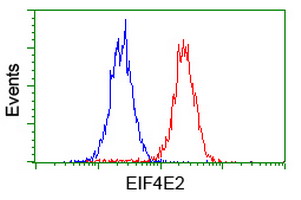 m05869 anti eif4el3 eif4e2 mouse monoclonal antibody clone id oti1f2 flow cytometry testing 10