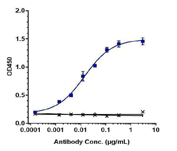 Immobilized human DLL3 His at 2 &mug/mL can bind Anti-DLL3 Reference Antibody (rovalpituzumab)