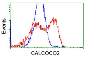 m05876 1 anti calcoco2 mouse monoclonal antibody clone id oti2d11 flow cytometry testing 4