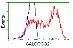 m05876 anti calcoco2 mouse monoclonal antibody clone id oti4h5 flow cytometry testing 5
