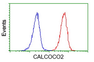 m05876 anti calcoco2 mouse monoclonal antibody clone id oti4h5 flow cytometry testing 7