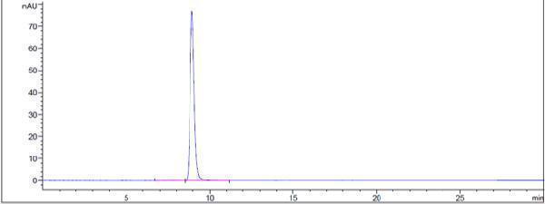 The purity of Anti-Klotho Beta Reference Antibody (NGM313)is more than 95%