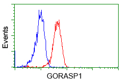 m05896 anti grasp65 gorasp1 mouse monoclonal antibody clone id oti5g8 flow cytometry testing 8