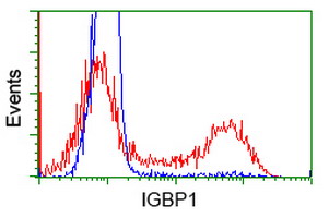 m05930 anti igbp1 mouse monoclonal antibody clone id oti4f6 flow cytometry testing 2