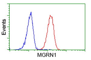 m05951 anti rnf156 mgrn1 mouse monoclonal antibody clone id oti3c3 flow cytometry testing 4