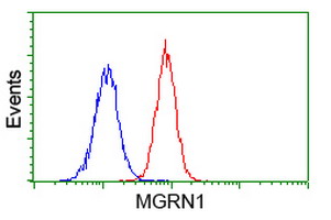 m05951 anti rnf156 mgrn1 mouse monoclonal antibody clone id oti3c3 flow cytometry testing 5