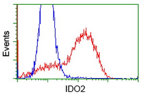 HEK293T cells transfected with either IDO2 (Myc-DDK-tagged) overexpress plasmid (Red) or empty vector control plasmid (Blue) were immunostained by anti-IDO2 antibody (M06002-1)
