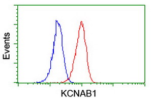 m06063 anti kv beta 1 kcnab1 mouse monoclonal antibody clone id oti7f12 flow cytometry testing 5