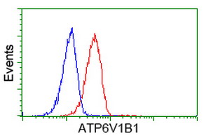 m06073 anti atp6v1b1 mouse monoclonal antibody clone id oti1h6 flow cytometry testing 5