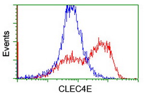 m06084 1 anti clec4e mouse monoclonal antibody clone id oti2a8 flow cytometry testing 9