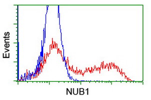 m06089 anti nyren18 nub1 mouse monoclonal antibody clone id oti4h2 flow cytometry testing 6