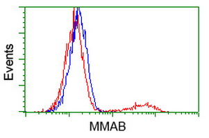 m06106 anti mmab mouse monoclonal antibody clone id oti2g5 flow cytometry testing 7