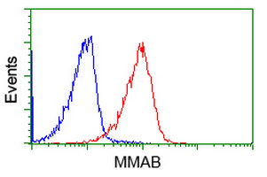 m06106 anti mmab mouse monoclonal antibody clone id oti2g5 flow cytometry testing 8