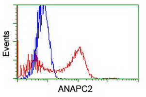 m06153 anti apc2 anapc2 mouse monoclonal antibody clone id oti1a6 flow cytometry testing 8