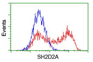 m06232 1 anti sh2d2a mouse monoclonal antibody clone id oti3c7 flow cytometry testing 5