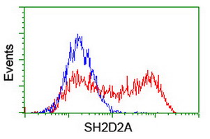 m06232 anti sh2d2a mouse monoclonal antibody clone id oti4f3 flow cytometry testing 11
