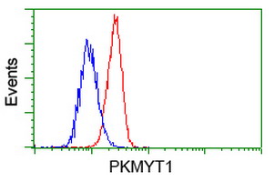 m06247 anti pkmyt1 mouse monoclonal antibody clone id oti5e1 flow cytometry testing 12