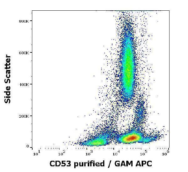 Flow cytometry surface staining pattern of human peripheral blood stained using anti-human CD53 (MEM-53) purified antibody (concentration in sample 3 µg/ml, GAM APC)