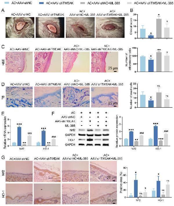 m06261 10020_2024_1004_fig5_html