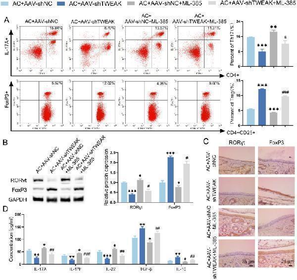 m06261 10020_2024_1004_fig6_html