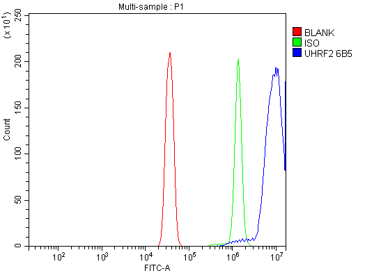  Flow Cytometry analysis of Hela cells using anti-NIRF antibody (M06294-1)