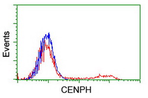 HEK293T cells transfected with either CENPH (Myc-DDK-tagged) overexpress plasmid (Red) or empty vector control plasmid (Blue) were immunostained by anti-CENPH antibody (M06302-1)