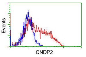 m06331 anti cndp2 mouse monoclonal antibody clone id oti8a2 flow cytometry testing 10