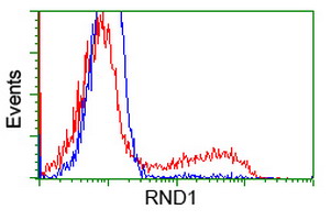 m06347 anti rnd1 mouse monoclonal antibody clone id oti1c3 flow cytometry testing 2