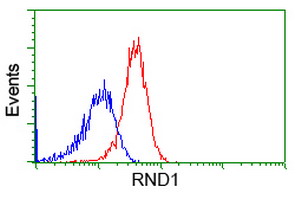 m06347 anti rnd1 mouse monoclonal antibody clone id oti1c3 flow cytometry testing 3