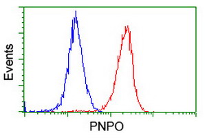 m06357 anti pnpo mouse monoclonal antibody clone id oti1g9 flow cytometry testing 14