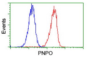 m06357 anti pnpo mouse monoclonal antibody clone id oti1g9 flow cytometry testing 15