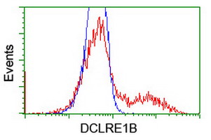 m06378 anti dclre1b mouse monoclonal antibody clone id oti2b7 flow cytometry testing 5