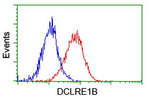 m06378 anti dclre1b mouse monoclonal antibody clone id oti2b7 flow cytometry testing 6