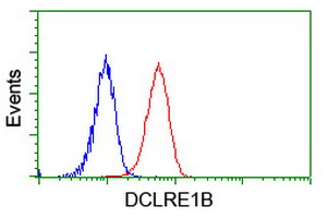 m06378 anti dclre1b mouse monoclonal antibody clone id oti2b7 flow cytometry testing 7