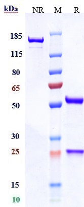 m06389 1 sds page