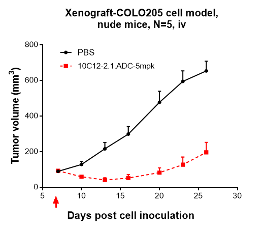 m06389 1 xenograft colo205 cell model