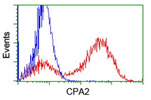 m06401 anti carboxypeptidase a2 cpa2 mouse monoclonal antibody clone id oti1c7 flow cytometry testing 11