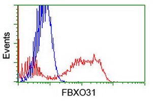 m06429 anti fbxo31 mouse monoclonal antibody clone id oti1h1 flow cytometry testing 2