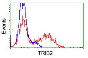 m06479 anti trib2 mouse monoclonal antibody clone id oti8d11 flow cytometry testing 10
