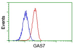 m06548 anti growth arrest specific protein 7 gas7 mouse monoclonal antibody clone id oti8h10 flow cytometry testing 10