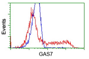 m06548 anti growth arrest specific protein 7 gas7 mouse monoclonal antibody clone id oti8h10 flow cytometry testing 8