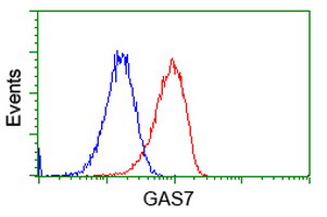 m06548 anti growth arrest specific protein 7 gas7 mouse monoclonal antibody clone id oti8h10 flow cytometry testing 9