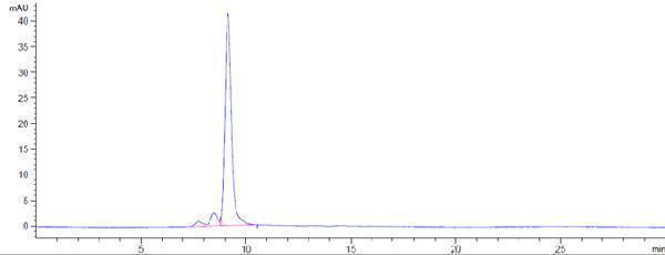 The purity of Anti-PRAME Reference Antibody (Eureka patent anti-PRAME)is more than 95%