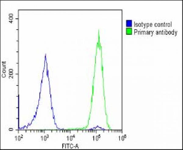 Overlay histogram showing U-2 OS cells stained with M06641 (green line). The cells were fixed with 2% paraformaldehyde (10 min) and then permeabilized with 90% methanol for 10 min. The cells were then icubated in 2% bovine serum albumin to block non-specific protein-protein interactions followed by the antibody (M06641, 1:25 dilution) for 60 min at 37C. The secondary antibody used was Goat-Anti-Rabbit IgG, DyLight® 488 Conjugated Highly Cross-Adsorbed at 1/200 dilution for 40 min at 37C. Isotype control antibody (blue line) was rabbit IgG1 (1g/1x10^6 cells) used under the same conditions. Acquisition of >10, 000 events was performed.