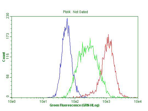 m06645 2 anti tlk2 mouse monoclonal antibody clone id oti2h2 flow cytometry testing 4