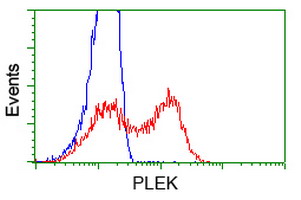 m06656 anti pleckstrin plek mouse monoclonal antibody clone id oti4g6 flow cytometry testing 4