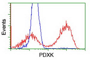 m06683 1 anti pdxk mouse monoclonal antibody clone id oti5h5 flow cytometry testing 10