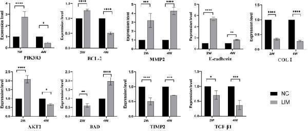 Determination of the relative gene expression
